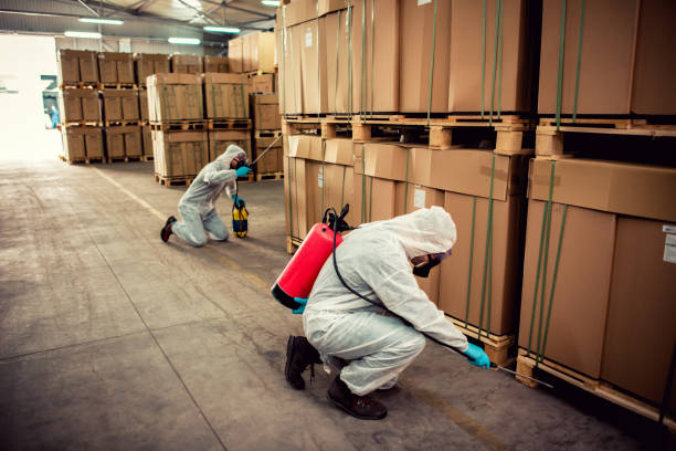 Best Pest Removal Services  in Lattingtown, NY