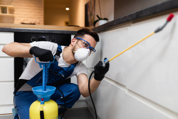 Best Best Pest Control Companies  in Lattingtown, NY