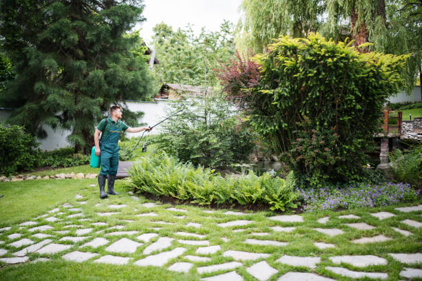 Best Pest Inspection Near Me  in Lattingtown, NY