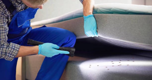 Best Cockroach Control Services  in Lattingtown, NY
